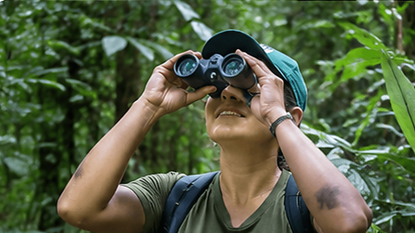 Foto de perfil de Protectores del Bosque