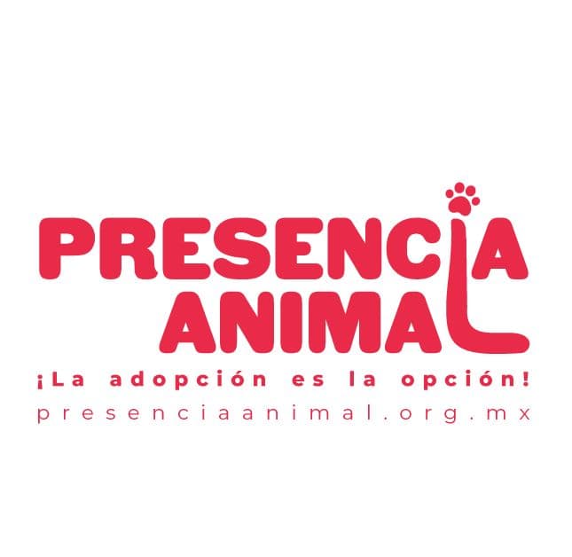 Foto de perfil de El Chalet de los Perritos, A.C. (Presencia Animal)