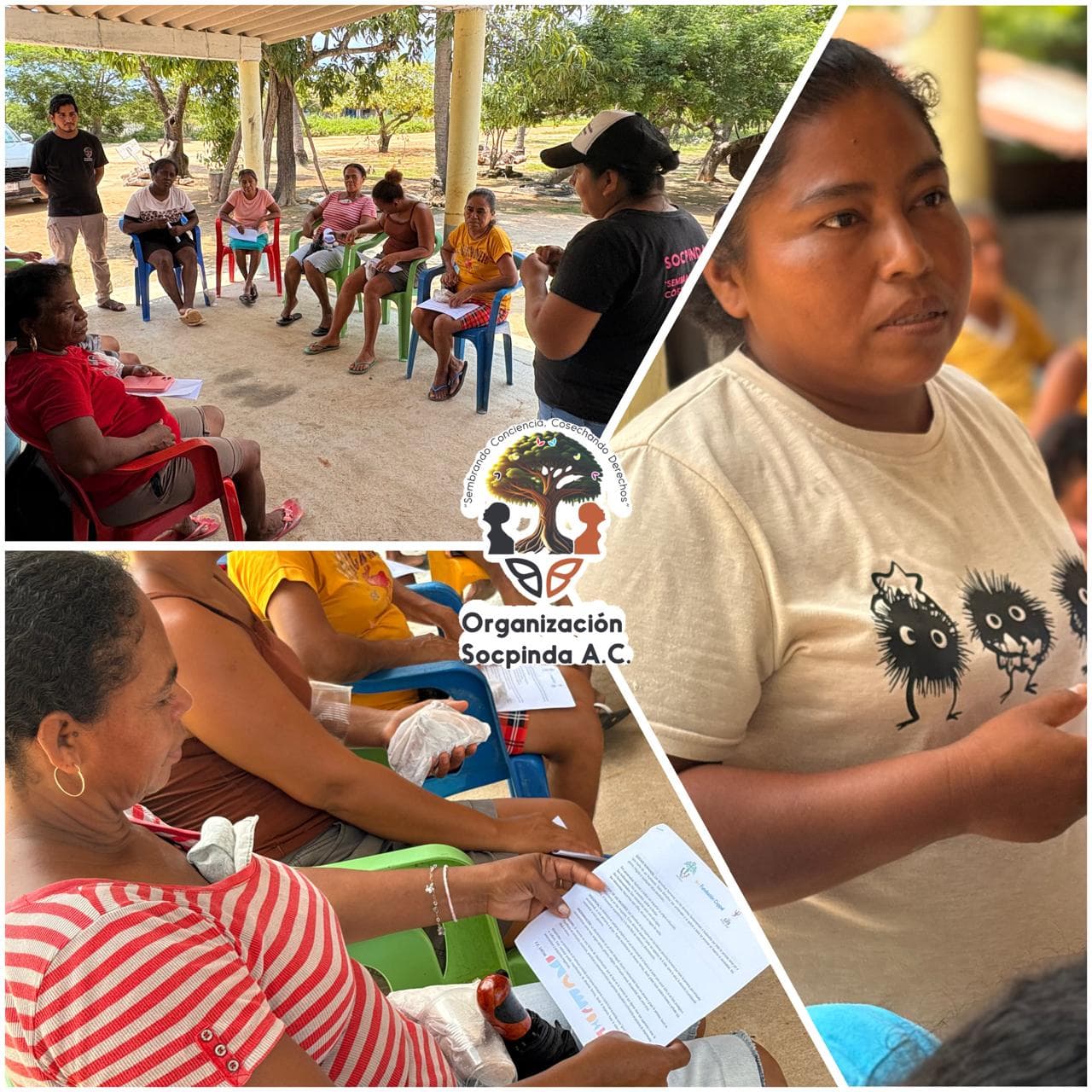 Foto 1 de Organización para el Desarrollo Social y Productivo de los Pueblos Indígenas y Comunidades Afrodescendientes