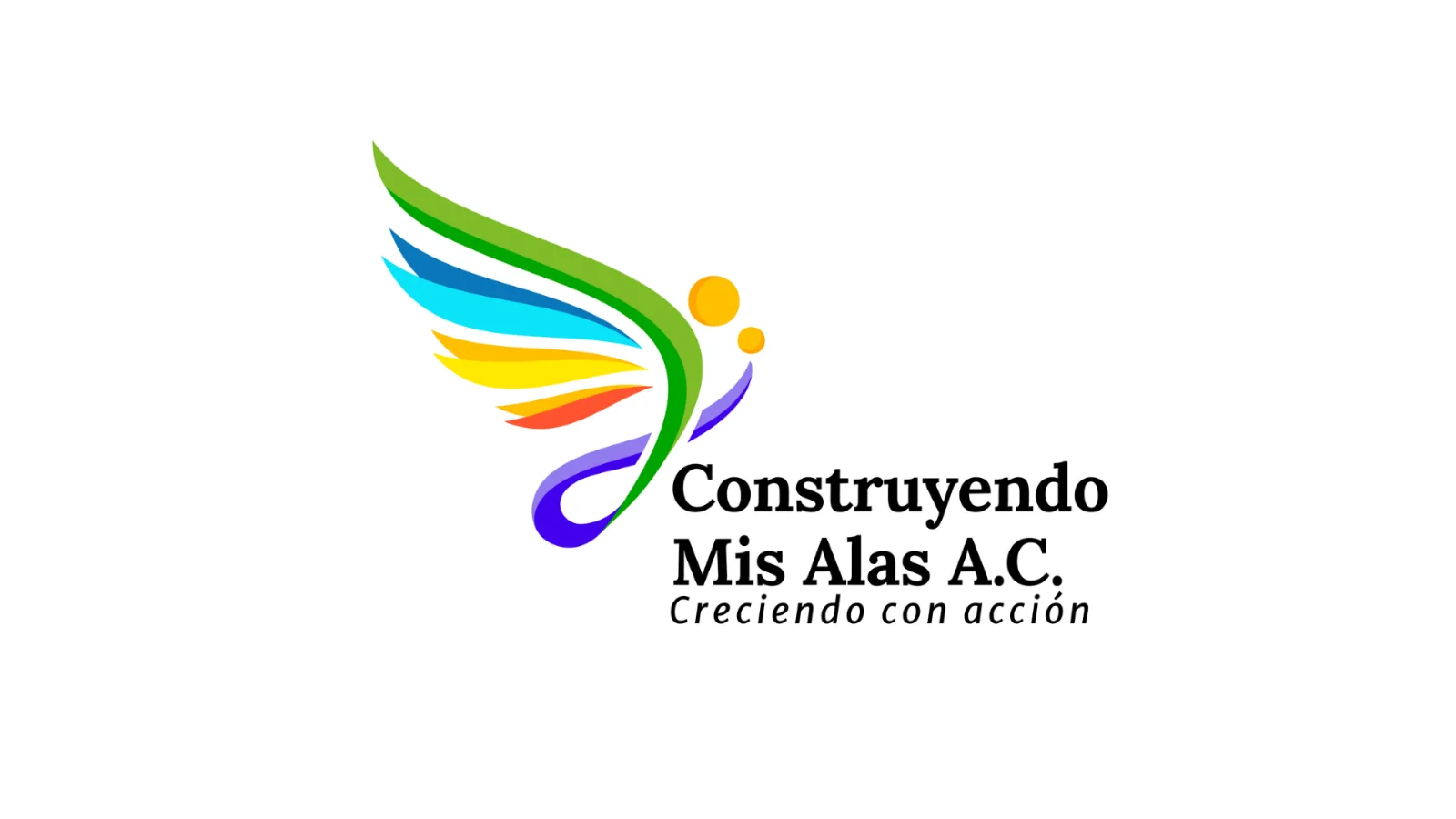 Foto de perfil de Construyendo Mis Alas A.C.