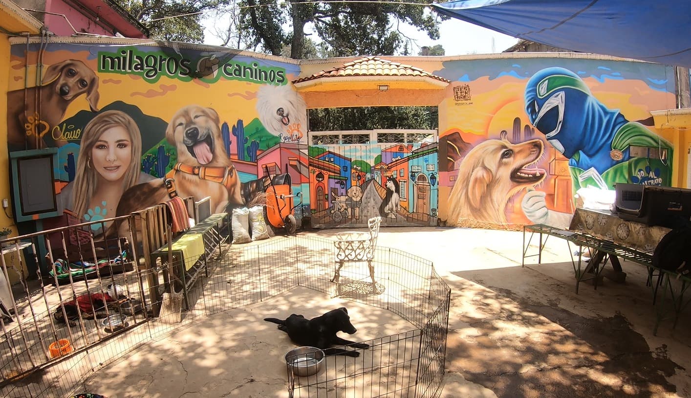 Foto de perfil de Milagros Caninos, A.C.