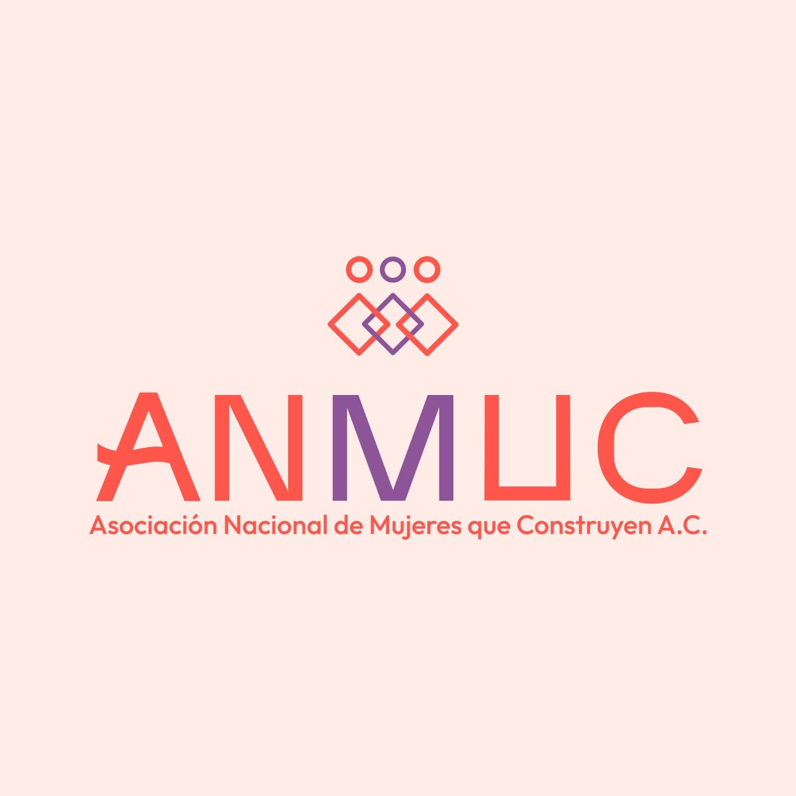 Foto de perfil de Asociación Nacional de Mujeres que Construyen ANMUC